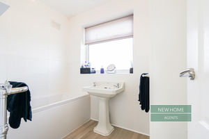 Photo 12- click for photo gallery